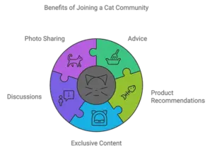 Cat Community Infographic