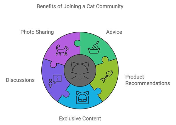 Cat Community Infographic Cat Community Infographic