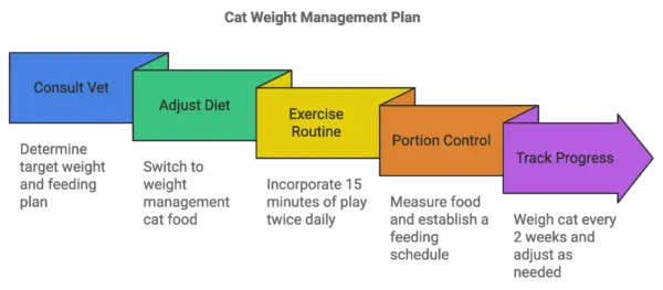 Cat Weight Managment Plan Chart