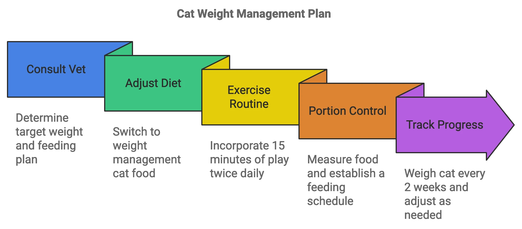 Cat Weight Managment Plan Chart