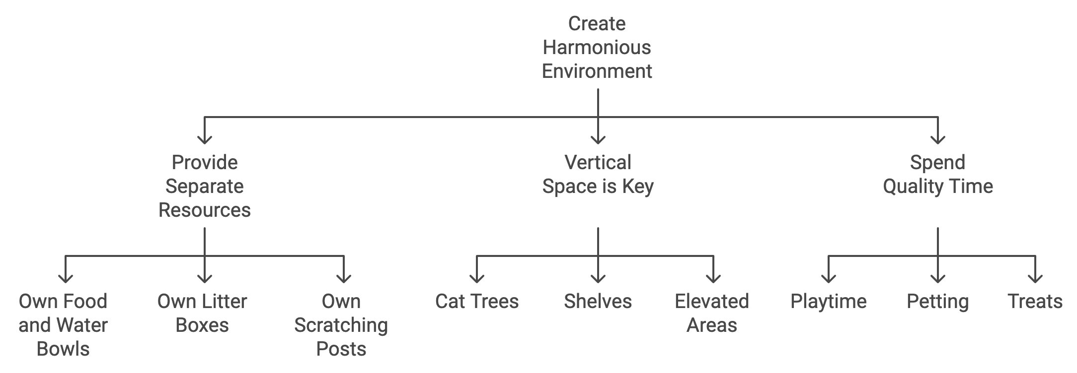 Harmonious Environment Infographic