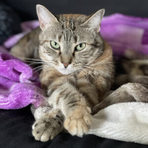 Rosie