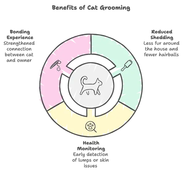 cat grooming benefits infographic