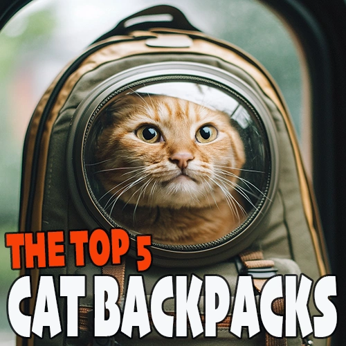 The Top Cat Backpacks
