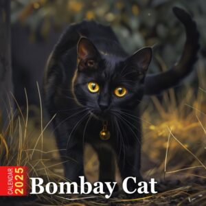 Bombay Cat Calendar