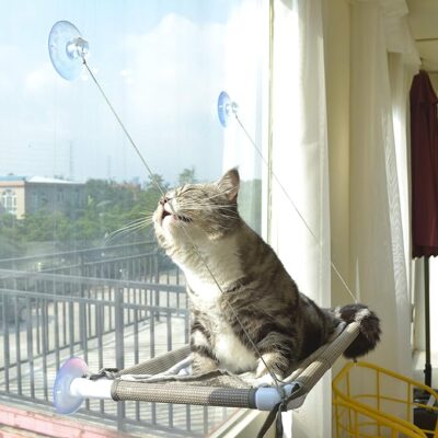 Cat Window Perch 1