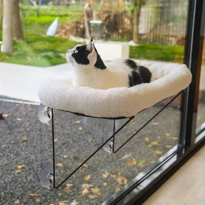 Cat Window Perch 5