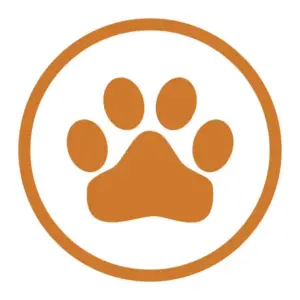 Cat Whistle & Training