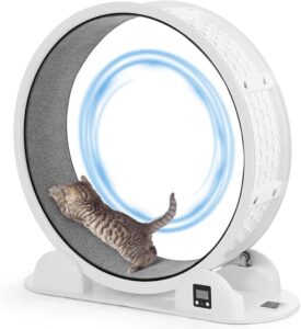 HOVONO Cat Exercise Wheel with Pedometer