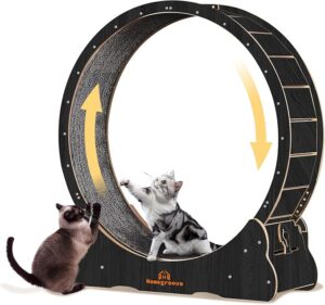 Homegroove Cat Wheels for Indoor Cats