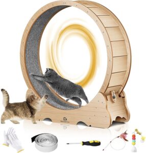 Naviconvex Cat Wheel
