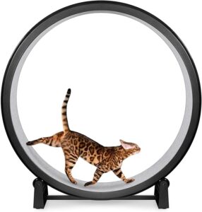One Fast Cat - Cat Exercise Wheel - Gen 7