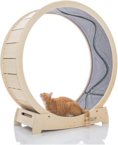 Star Cat Wheel Premium Birch Wood Wheel XL Size